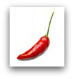 Red Pepper