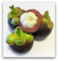 Mangosteen