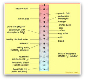 Herpes Food Chart